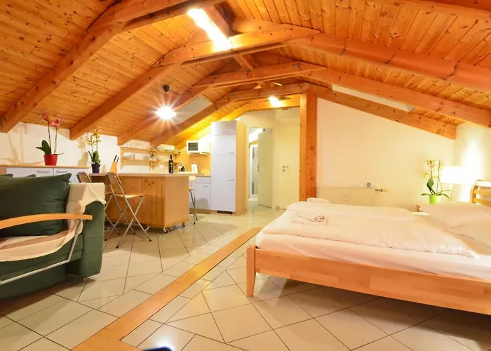 Ajo - Alte Donau View Penthouse - Self-check-in Апартаменты Вена